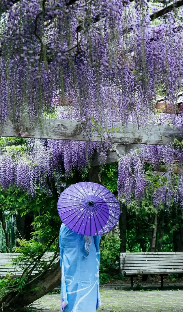 Seasonal Wedding Ideas in Japan: Summer