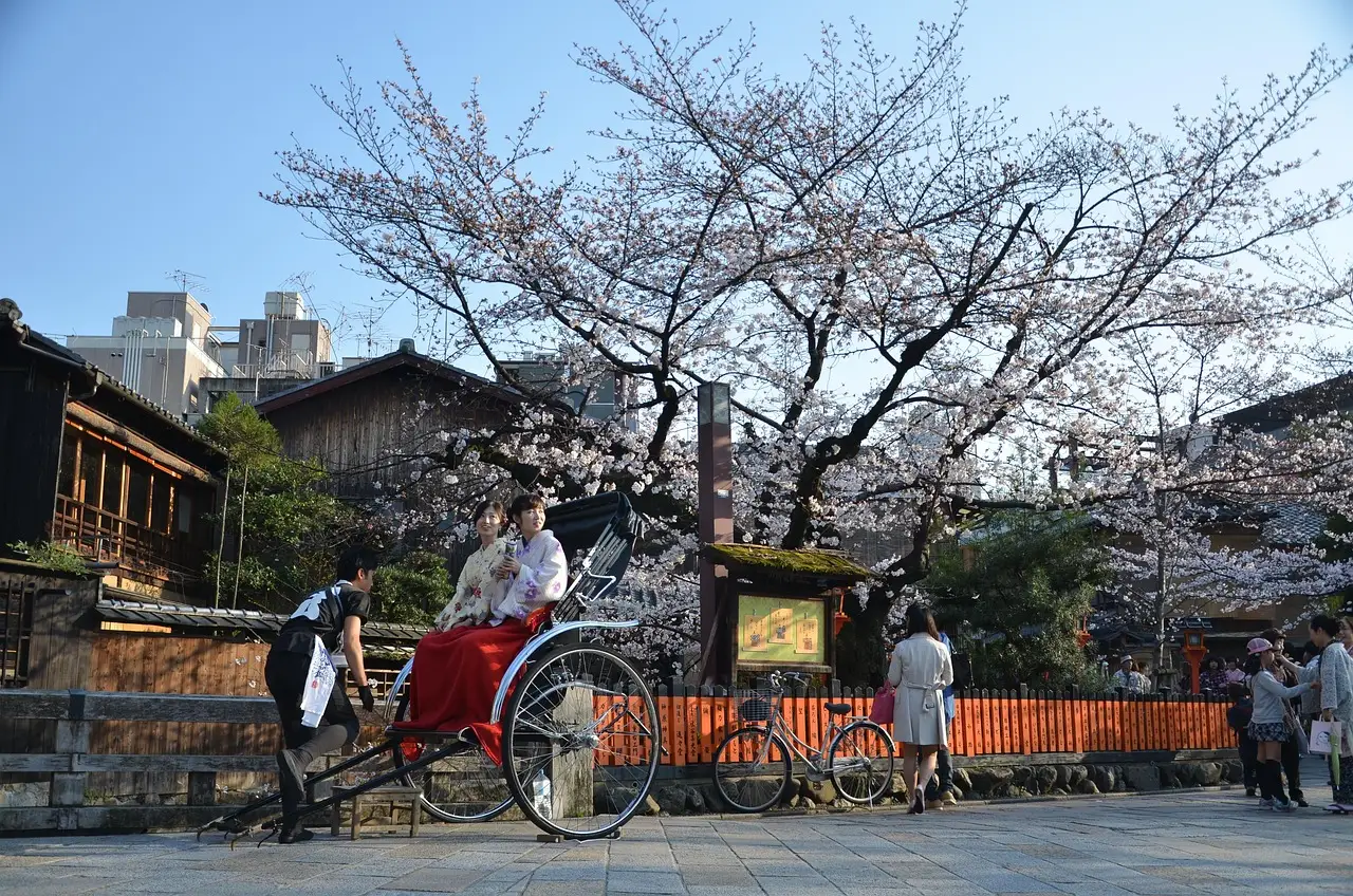 People in traditional Japanese attire riding a rickshaw under blooming cherry blossom trees in a historic Kyoto street with wooden buildings and a vibrant spring atmosphere. Why you should choose Hidden Gem Wedding Venues in Kyoto.