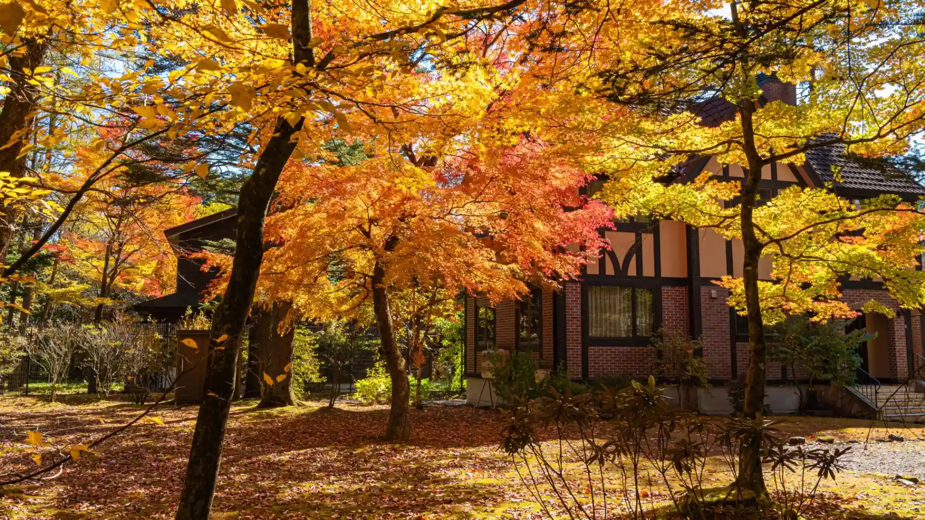 Beautiful autumn foliage surrounding a cozy house wedding venue in Karuizawa, ideal for Japanese weddings.
