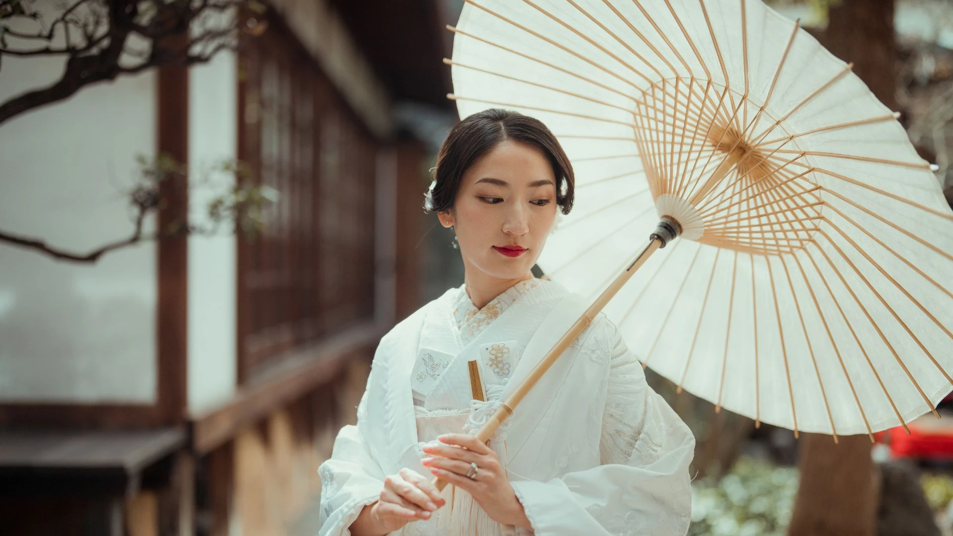Elegant Japanese bride wearing a pure white shiromuku kimono and traditional hairstyle, holding a large white wagasa oil-paper umbrella in a serene Japanese garden setting