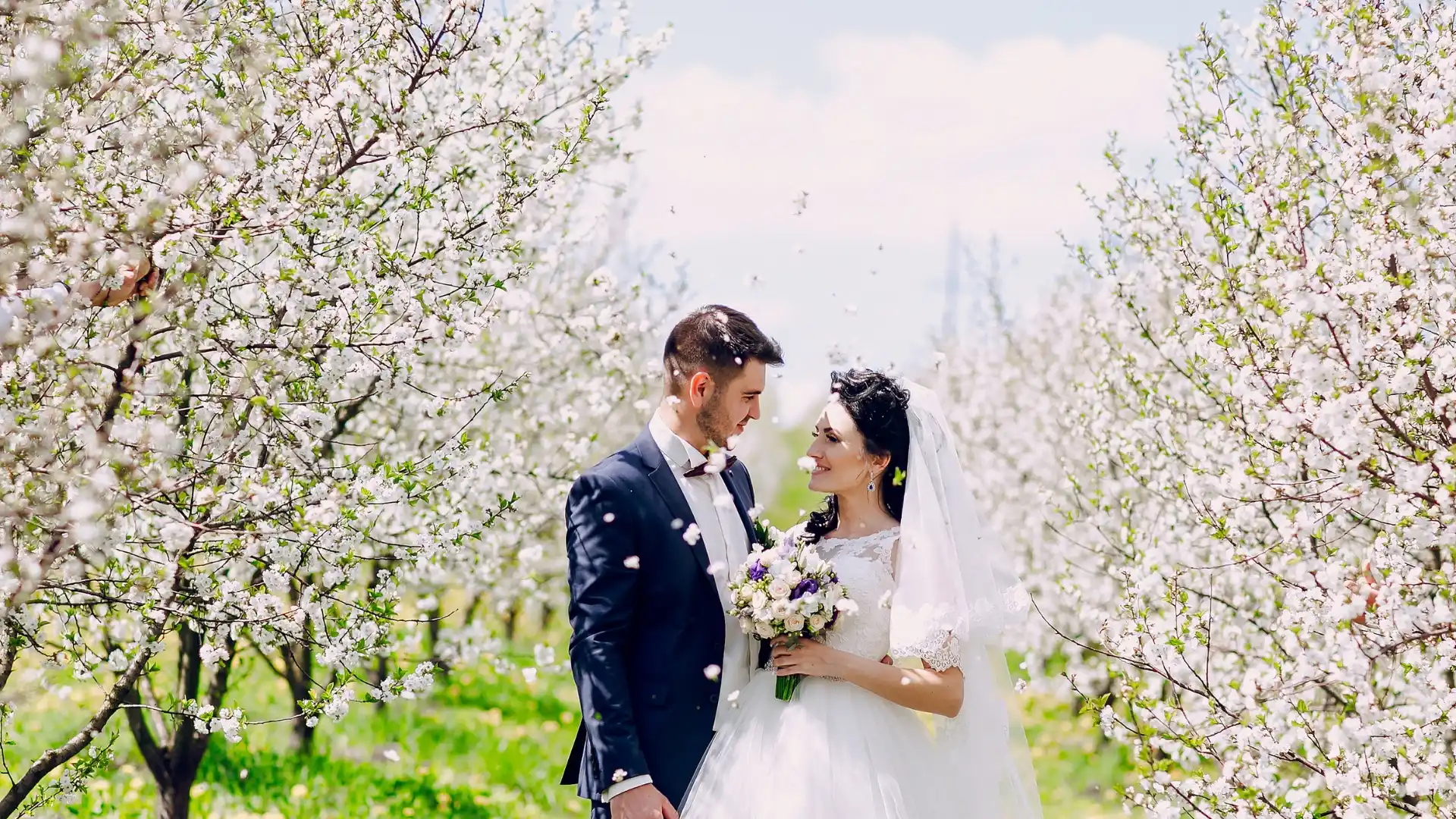 Couple planning their Japan wedding under sakura blossoms
